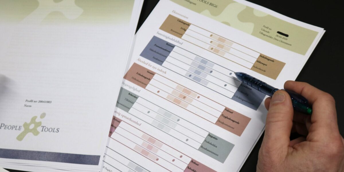 peopletools big 6 profil