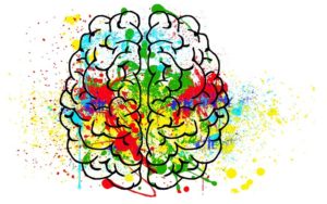 hjerne med farver